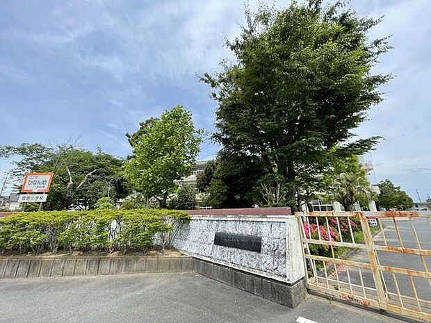 浜松市立伎倍小学校 800m