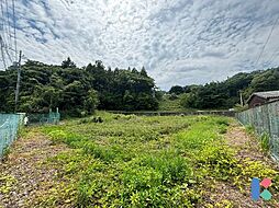 静岡県浜松市浜名区三ヶ日町大崎