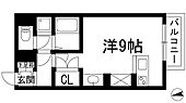 ミランダパキラのイメージ