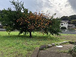 神奈川県足柄上郡山北町山北字梶山2068-5
