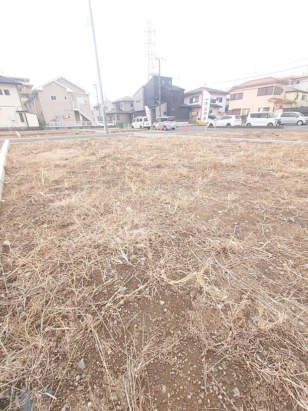 現地（2025年11月撮影）