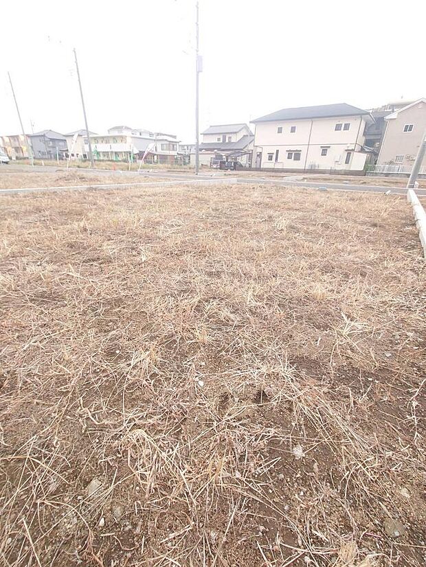 現地（2025年11月撮影）