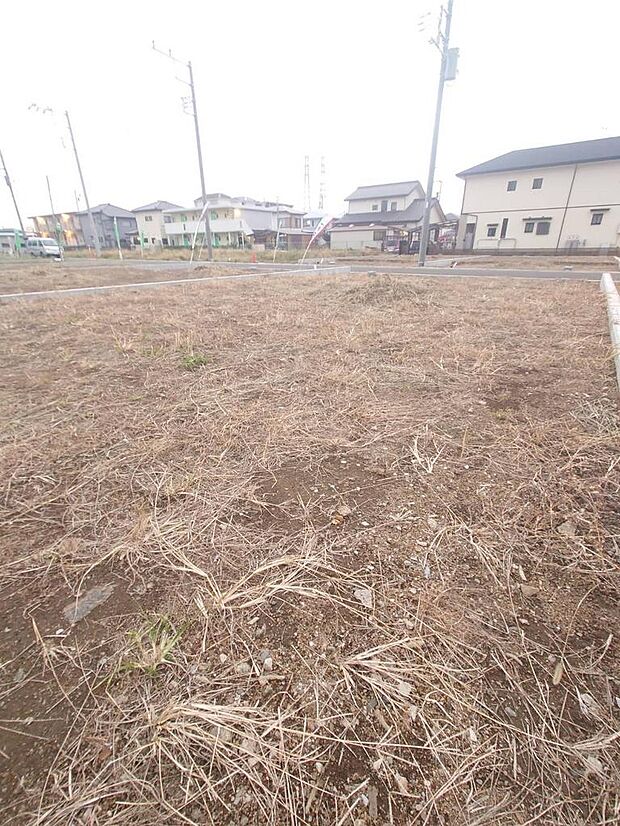 現地(2025年11月撮影)