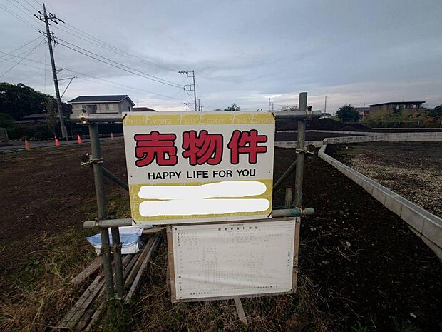 2025年11月撮影写真