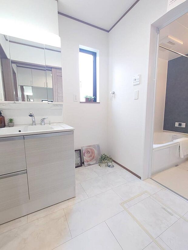 室内（2026年1月撮影）