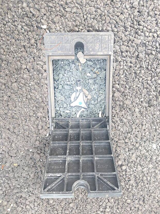 現地（2026年2月撮影）