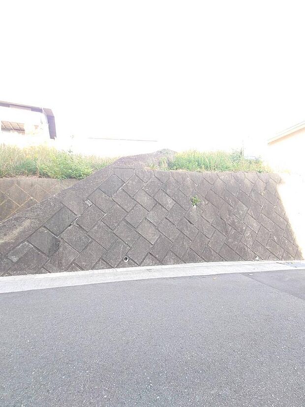 2025年11月撮影済み