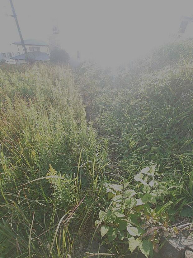 2025年11月撮影済み