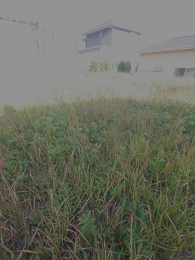 2025年11月撮影済み