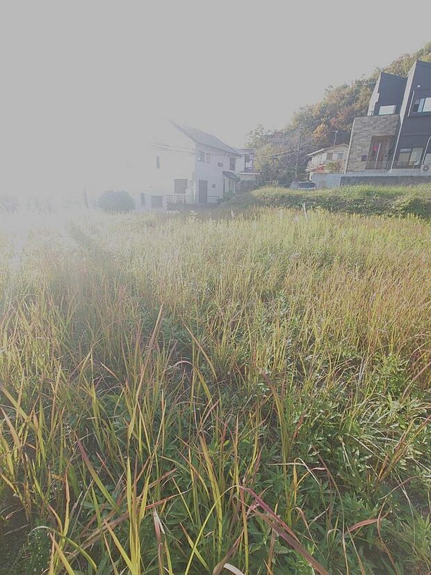 2025年11月撮影済み