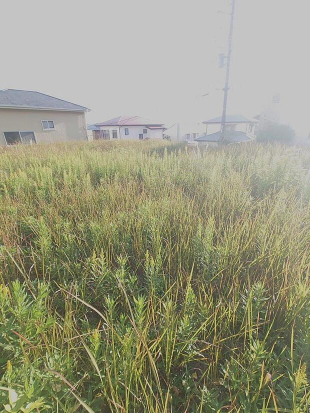 2025年11月撮影済み