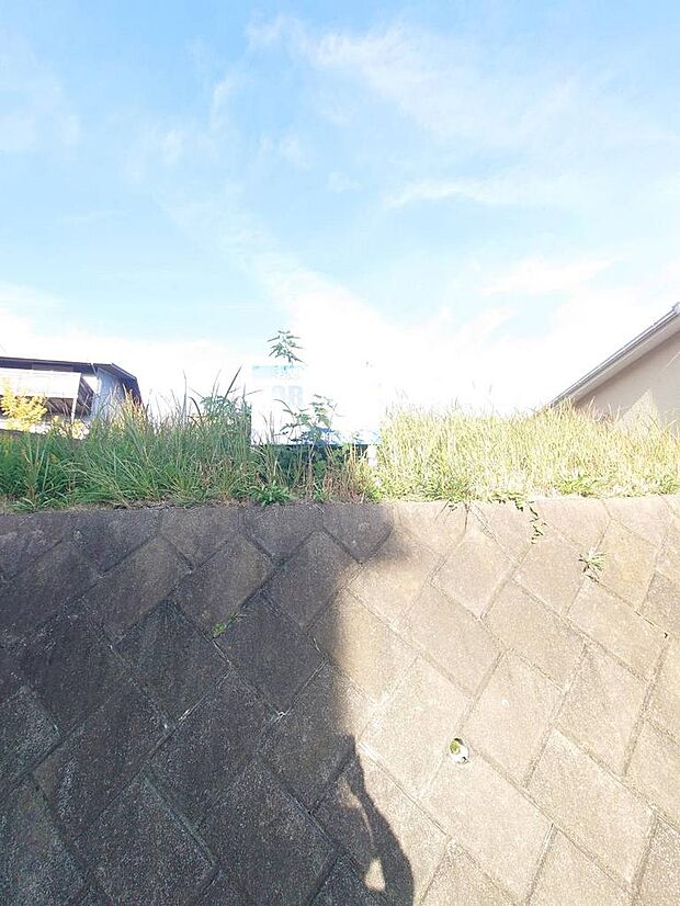 2025年11月撮影済み