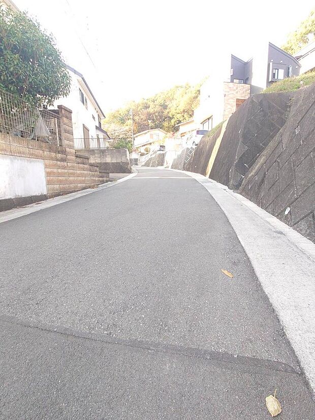 2025年11月撮影済み