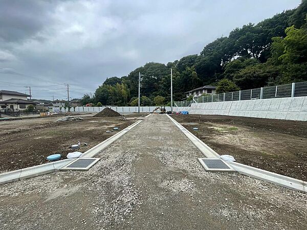 2026年８月撮影写真