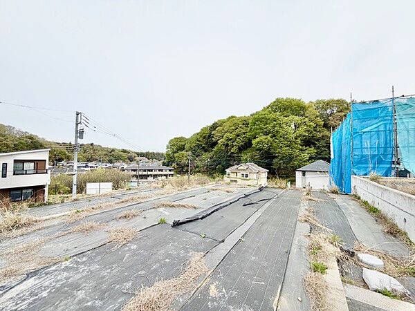 2026年4月9日　撮影
