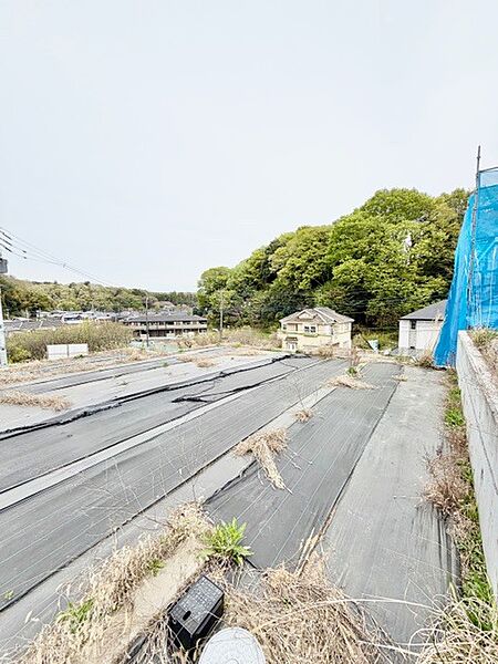 2026年4月9日　撮影