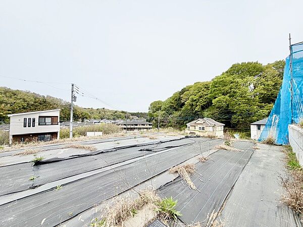 2026年4月9日　撮影