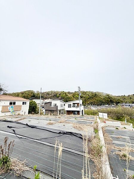 2026年4月9日　撮影