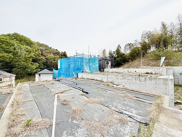 2026年4月9日　撮影