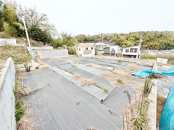 外観：313004544856