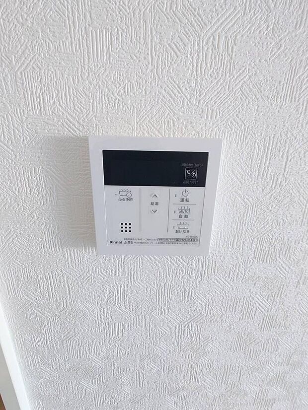 室内（2026年1月撮影）