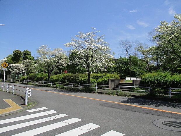 周辺街並み