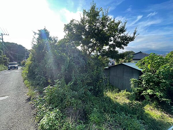 現地（2026年9月撮影）