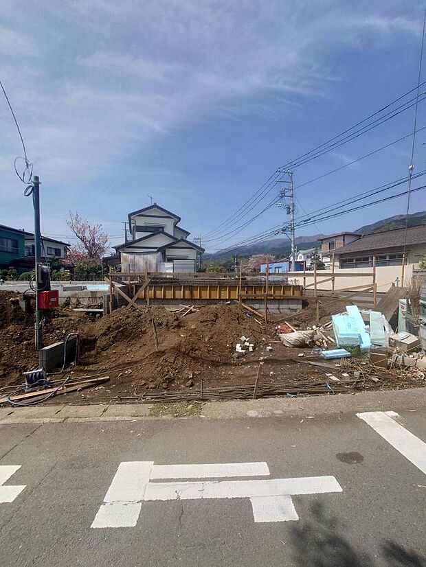 撮影日(26年4月12日)