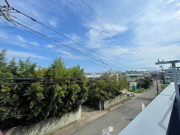 2026年８月撮影写真