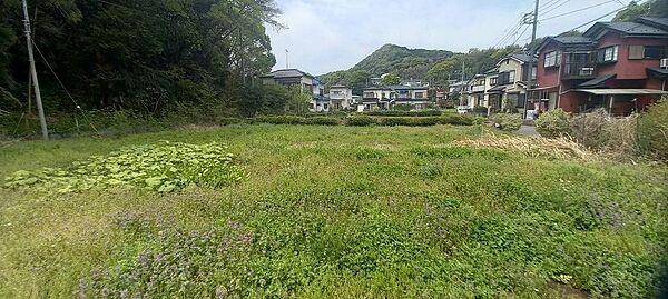 外観：314002695756