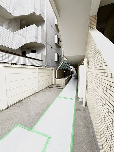 2026年6月11日　撮影