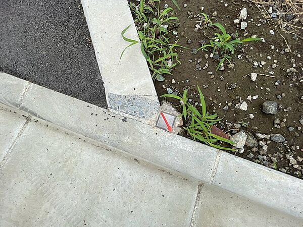 2026年８月撮影写真