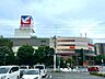周辺：イトーヨーカドー　徒歩5分