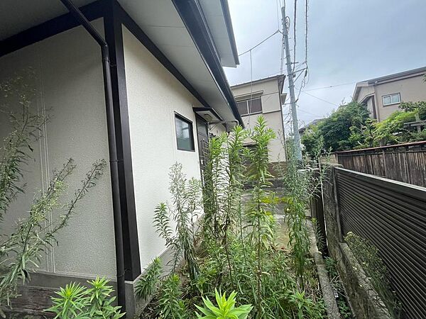 2026年８月撮影写真