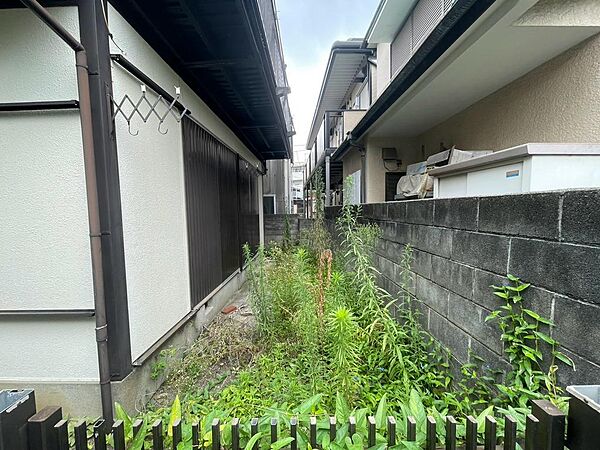 2026年８月撮影写真