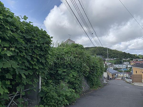 現地（2026年7月撮影）
