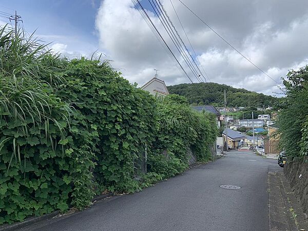 現地（2026年7月撮影）