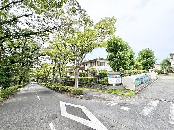2026年7月　撮影　全面道路含め全体
