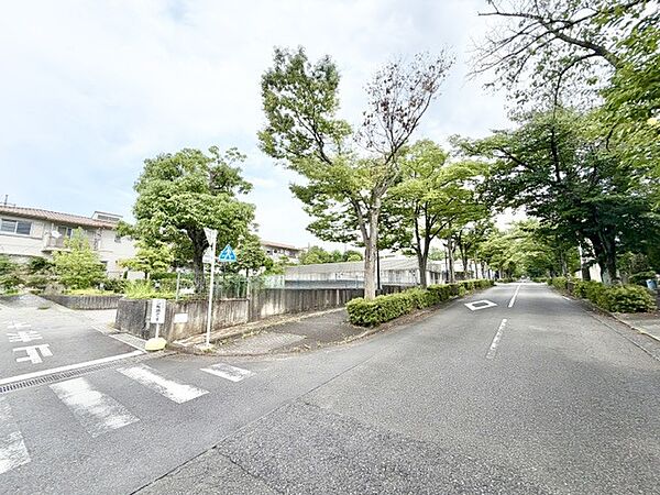 2026年7月　撮影　全面道路含め全体