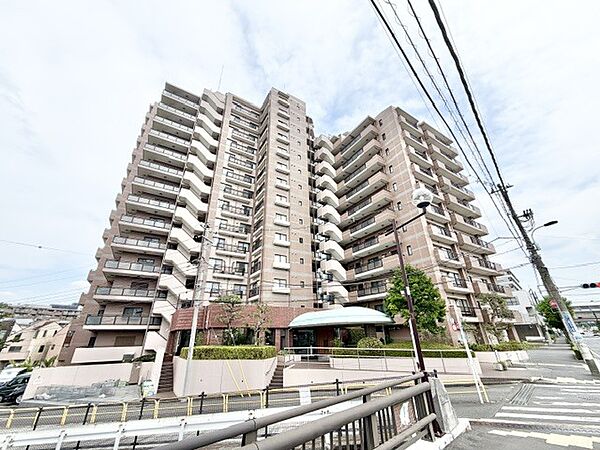 2026年7月　撮影