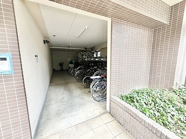 2026年7月　撮影