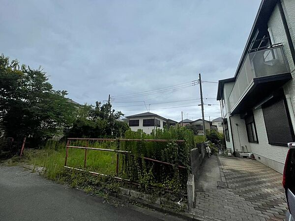 2026年８月撮影写真