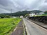 その他：2026年8月撮影写真