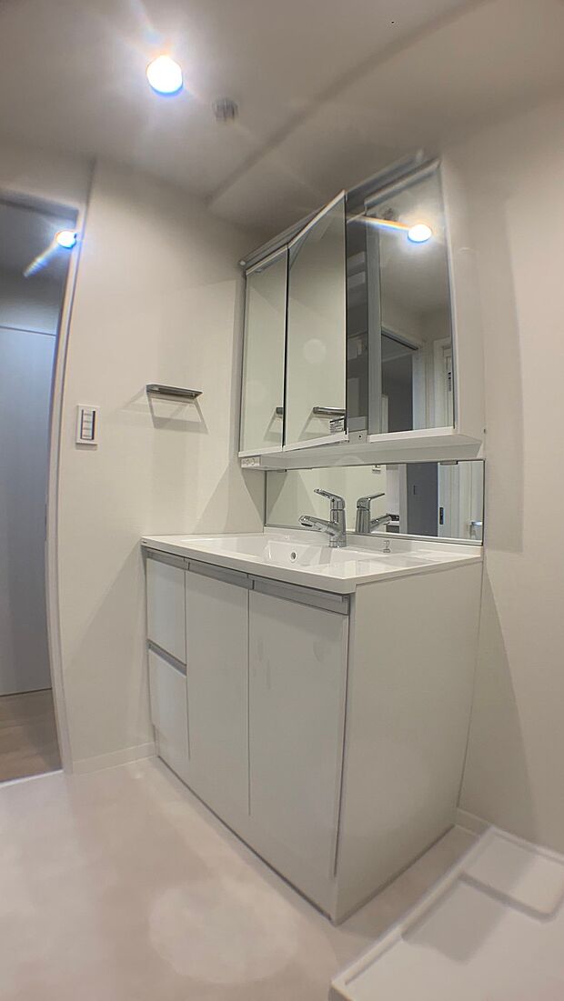 独立洗面台は大きな三面鏡と、かがんでも見える鏡の2つ付いているので、使い勝手が良好となっています。シャワー付きで洗面ボールも大きいので、とても便利で、機能が充実している洗面台となっています。