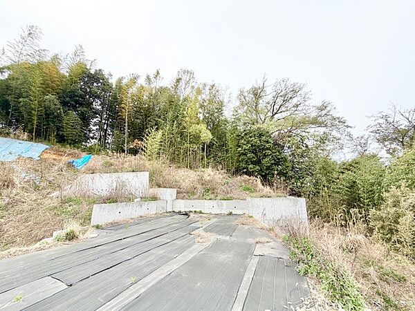 2026年4月9日　撮影