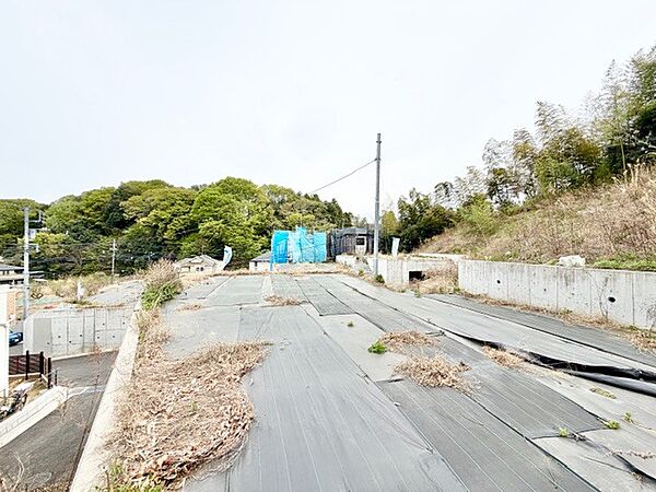 2026年4月9日　撮影