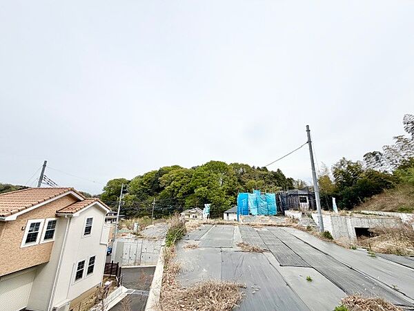 2026年4月9日　撮影