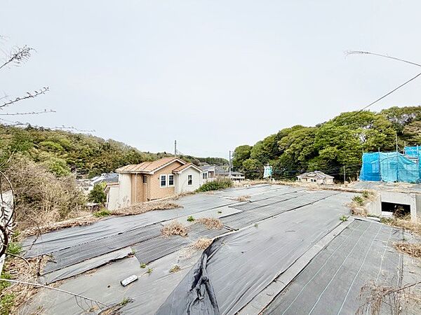 2026年4月9日　撮影