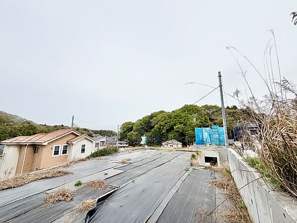 2026年4月9日　撮影