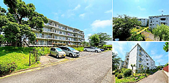 外観：314002352223